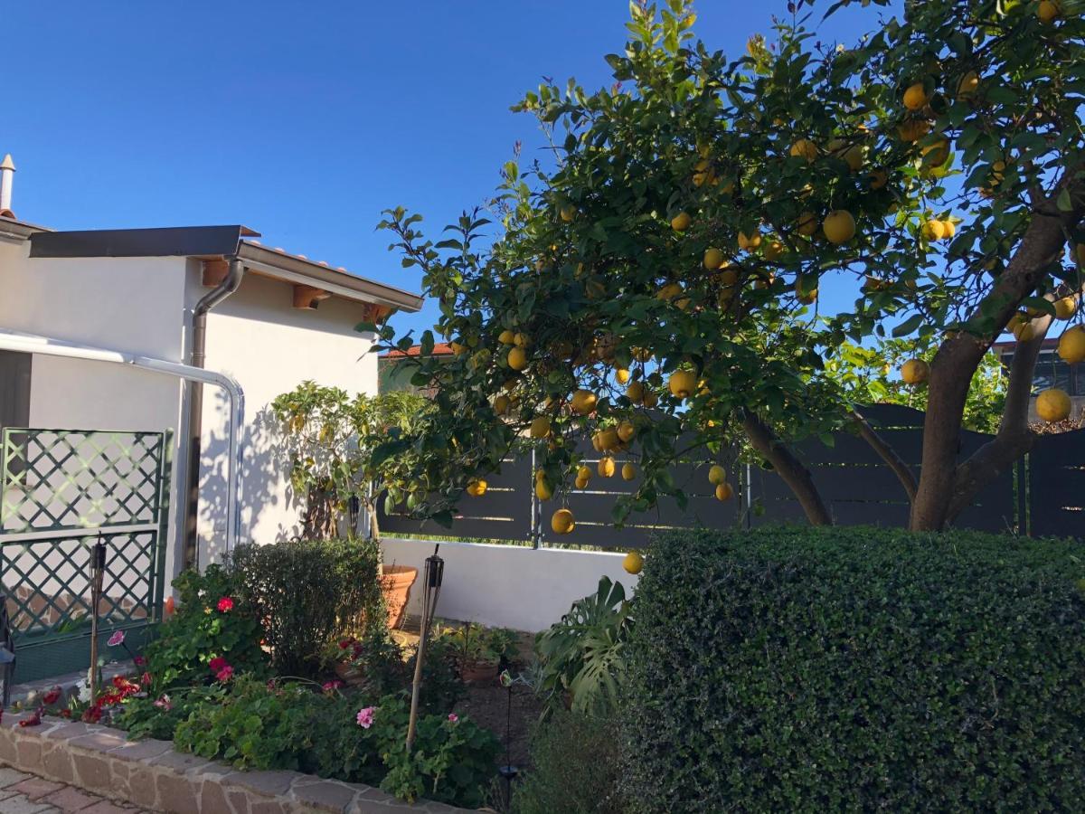 קרבוניה B&B Paolo E Daniela מראה חיצוני תמונה